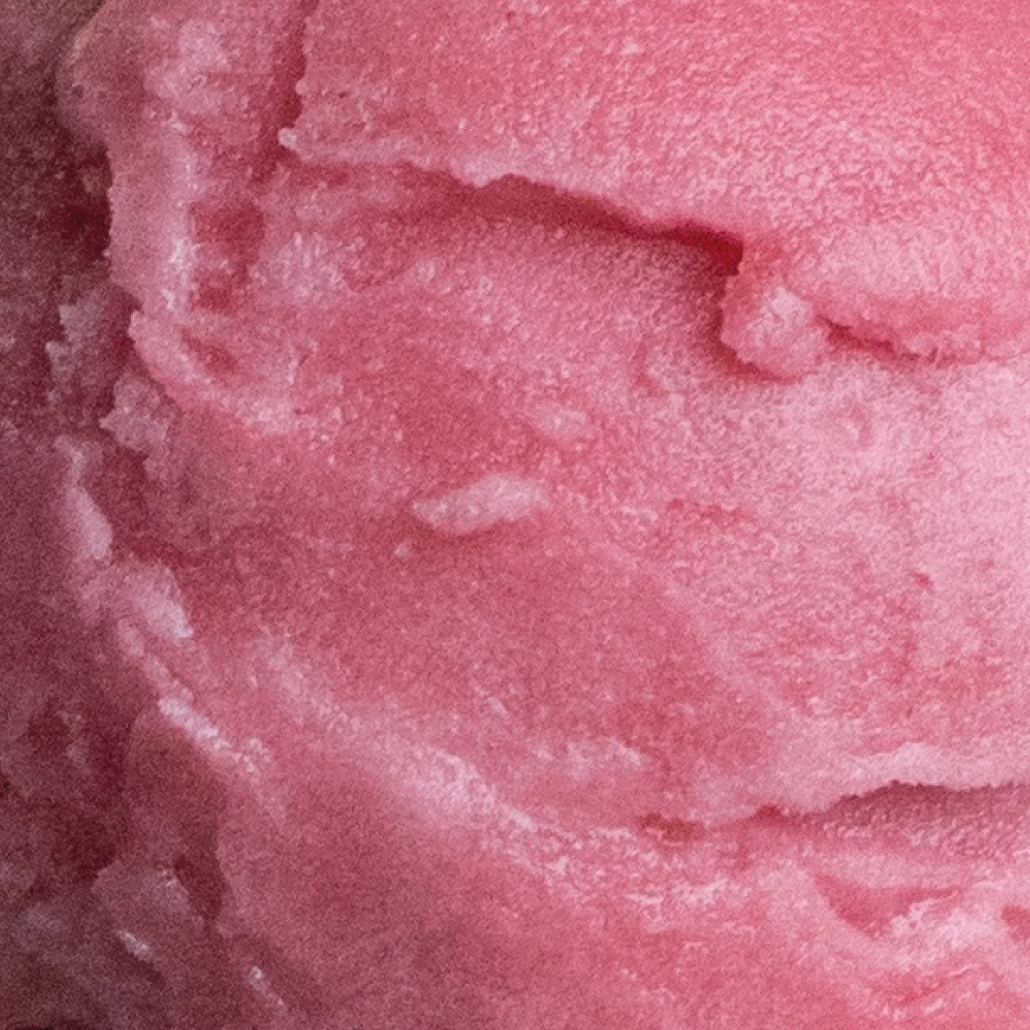 Cranberry Orange Sorbet (v)